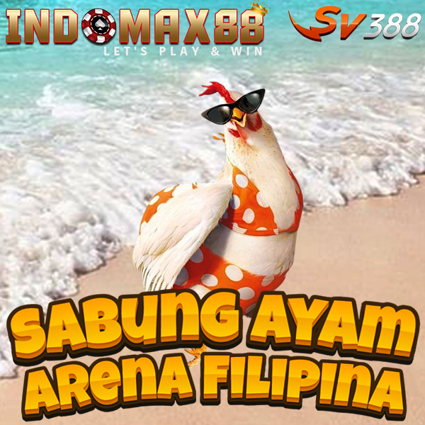 SV388 Agen Sabung Ayam Online Link Alternatif Taruhan Wala Meron