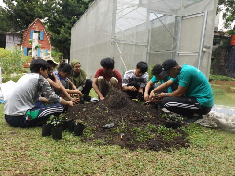Jakarta: Harvesting vegetables in urban farms